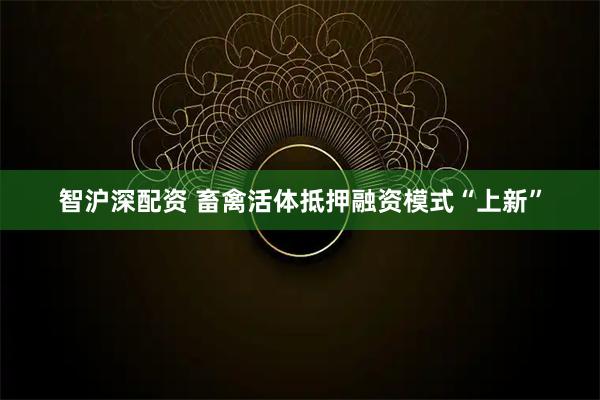 智沪深配资 畜禽活体抵押融资模式“上新”